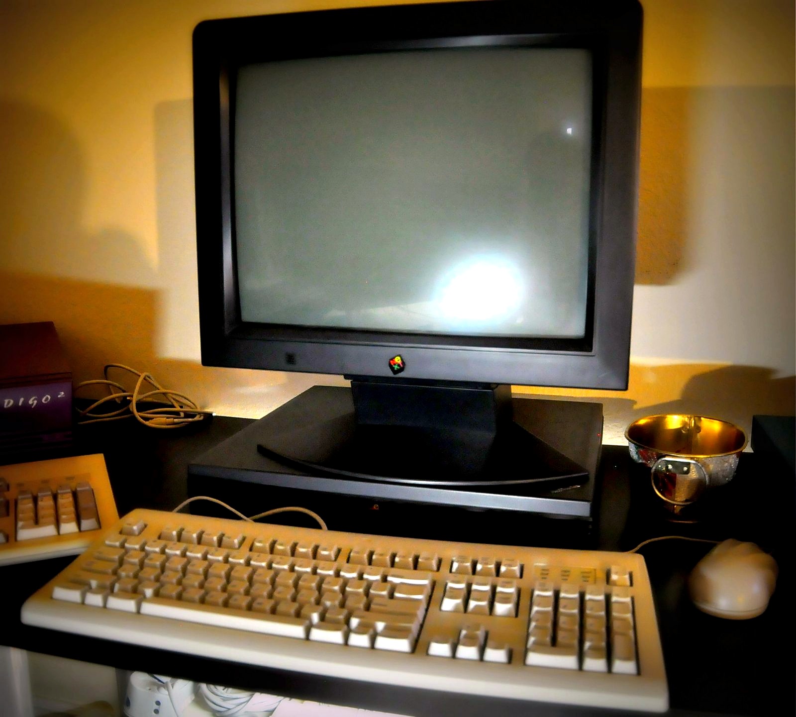 NeXTcube CRT display · recent intake photograph